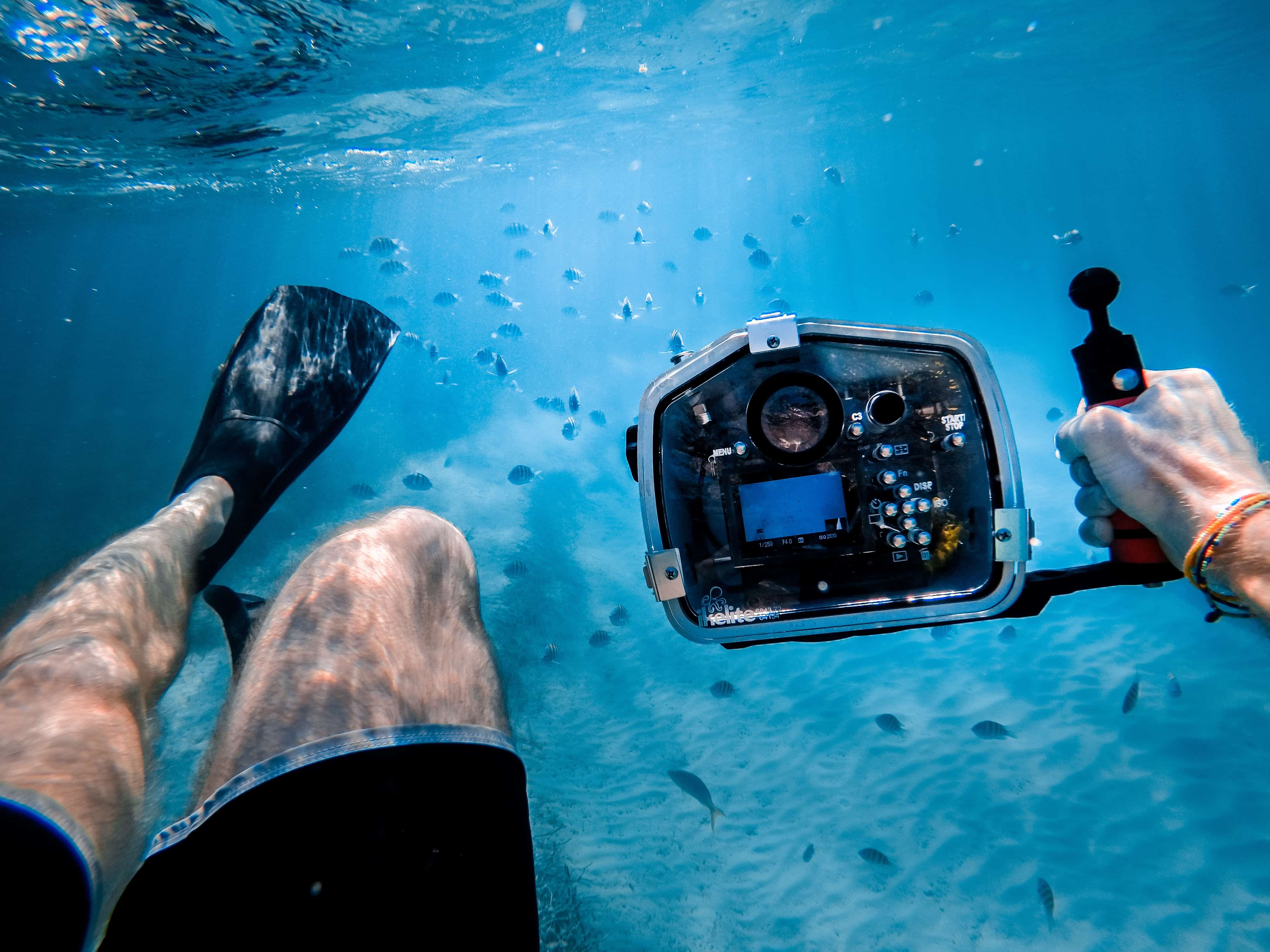 The 15 Best Underwater Cameras - Liquid Image
