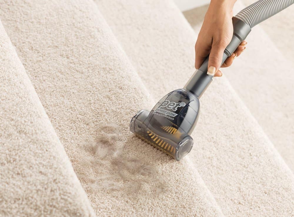 Best Bagged Vacuums Liquid Image