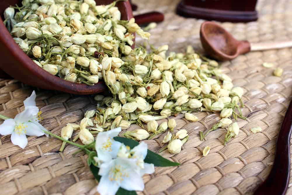 Benefits of Jasmine Tea