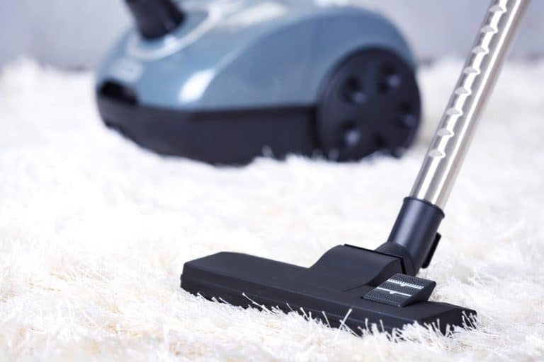 Best Canister Vacuum for Your Home
