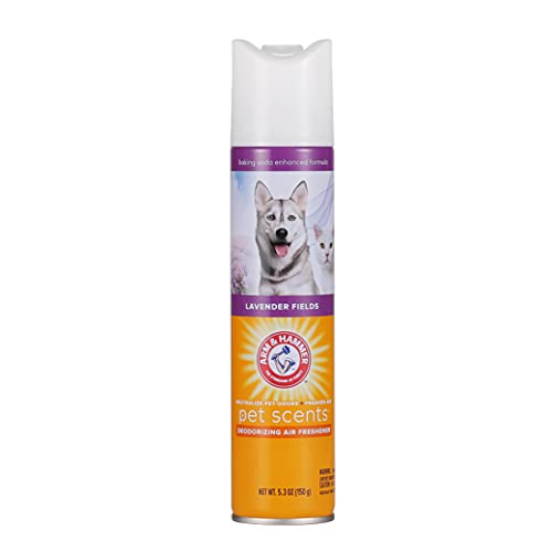 Best Air Freshener To Eliminate Pet Odor (2024 Update) Liquid Image