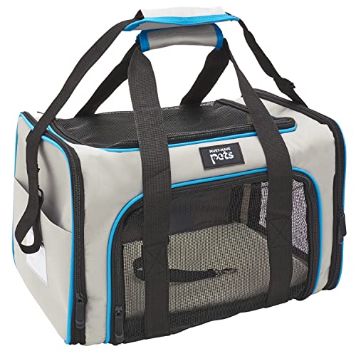 Best Airline Dog Carrier (2023 Update) Liquid Image