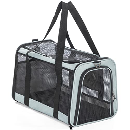 Best Airline Pet Carrier (2024 Update) Liquid Image