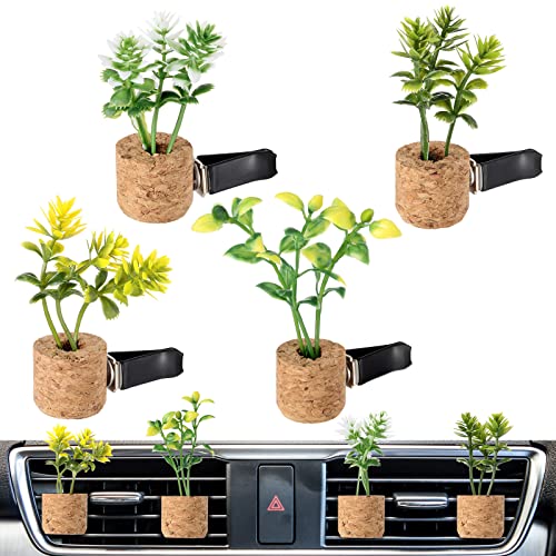 Best Air Freshener Plants (2023 Update) Liquid Image