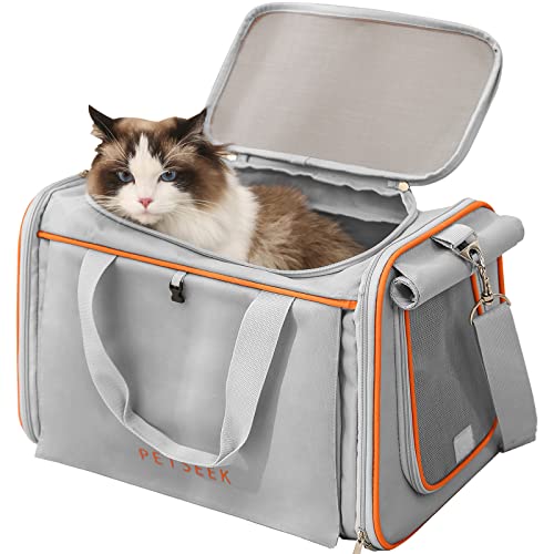 Best Airline Cat Carrier (2024 Update) Liquid Image