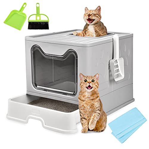 Best Affordable Cat Litter Box (2023 Update) Liquid Image