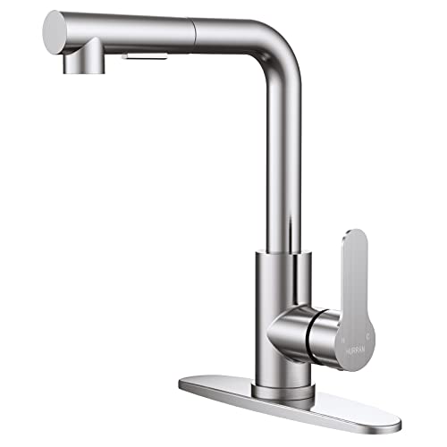 Best Affordable Kitchen Faucet (2024 Update) Liquid Image