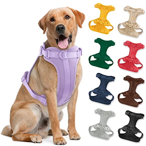 Best Adjustable Dog Harness (2023 Update) Liquid Image